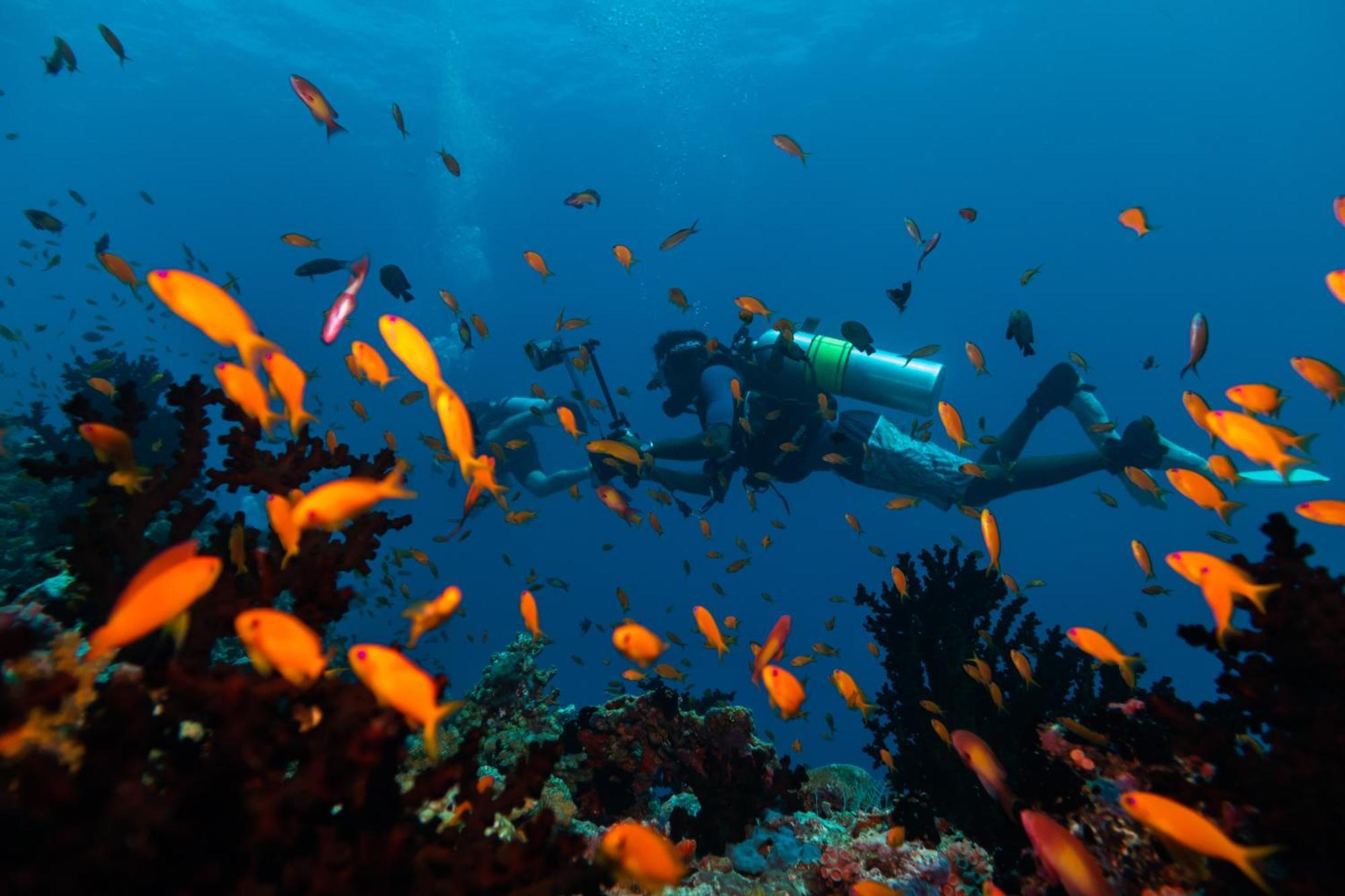 Kuredhivaru Resort And Spa - Maldives Luaran gambar